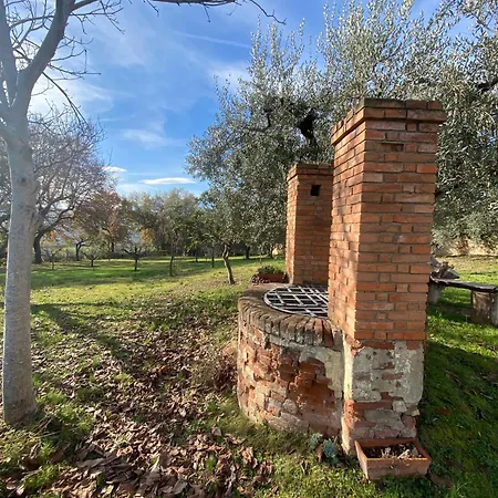 Bed & Breakfast In An 1800s Frescoed With Panoramic Solarium And Historic Park - Mastrangelo *