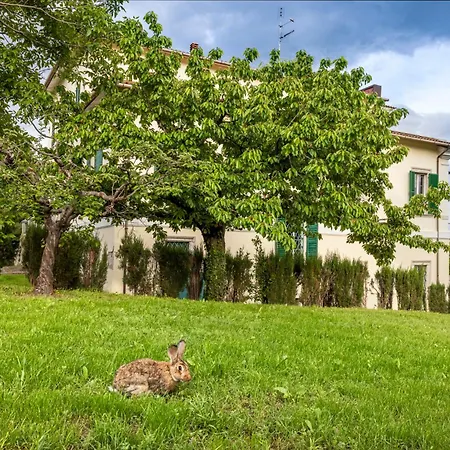 Bed & Breakfast In An 1800s Frescoed With Panoramic Solarium And Historic Park - Mastrangelo Colli del Tronto