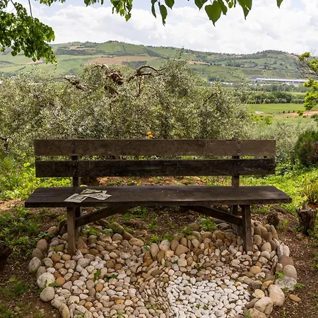 Bed & Breakfast In An 1800s Frescoed With Panoramic Solarium And Historic Park - Mastrangelo *